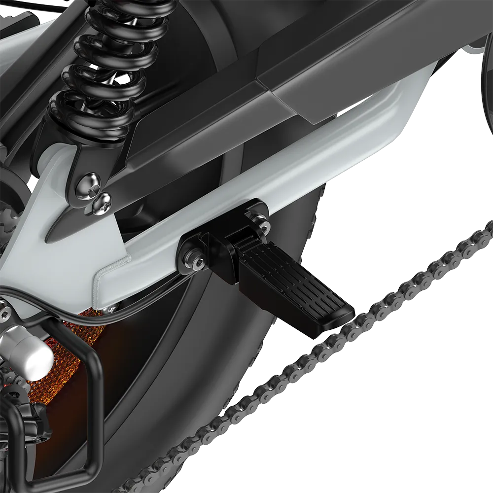 PIXAR M9 Retro Electric Bike 25km/h