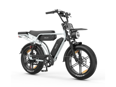 PIXAR M9 Retro Electric Bike 25km/h