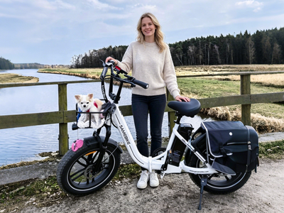 Samebike C05 Pro Step-through Folding E-Bike