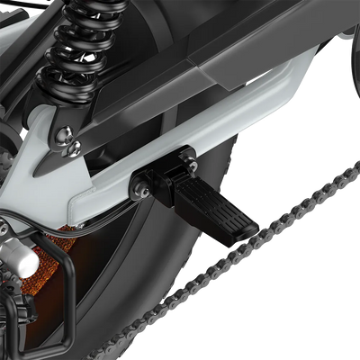 PIXAR M9 Retro Electric Bike 25km/h