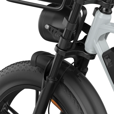 PIXAR M9 Retro Electric Bike 25km/h