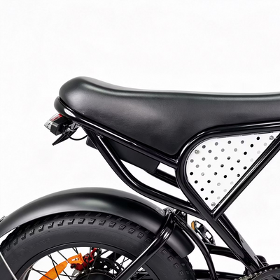 LOOKROAD L20 Electric Bike