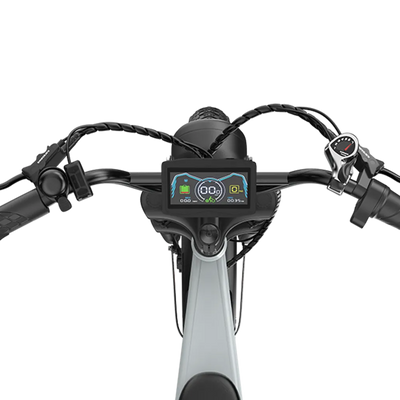 PIXAR M9 Retro Electric Bike 25km/h